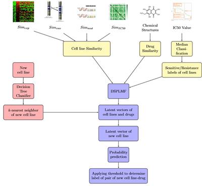 DSPLMF: A Method for Cancer Drug Sensitivity Prediction Using a Novel Regularization Approach in Logistic Matrix Factorization